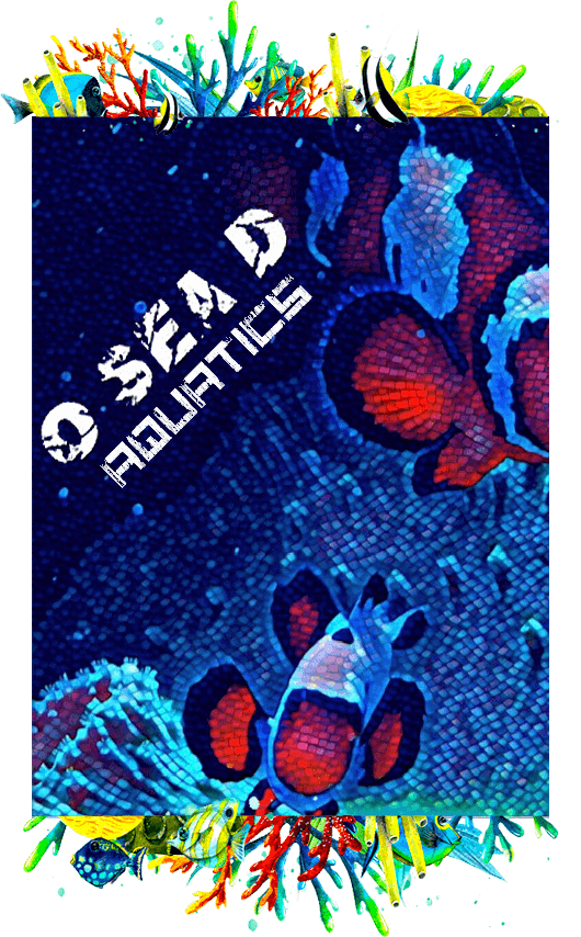 Design, install and service freshwater and saltwater aquarium, fish, coral, and supplies.