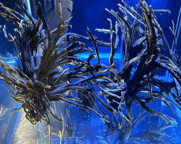 Custom Aquarium Decor