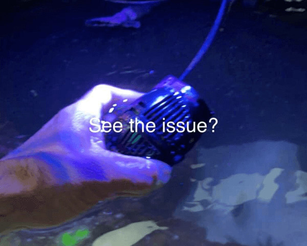 Educational Tutorials & Advice