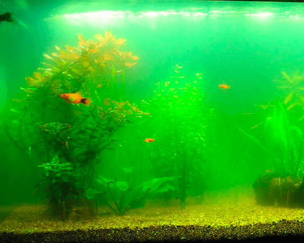 Routine & Emergency Maintenance